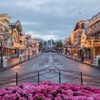 When Will the Parks Re-Open? + Top Disneyland Exclusive Experiences