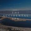 The Accidental Sea