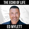 The Echo Of LIfe