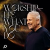 Worship—It’s What You Do - Louie Giglio