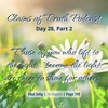DAY 28 Part 2: Shine For Others