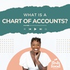 What is a Chart of Accounts?
