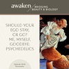 Should Your Ego Stay, or Go?  Me, Myself, Goodbye: Psychedelics