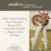 Why Understanding Your Energetic Blueprint is Essential to Build a Regenerative Lifestyle