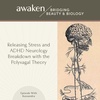 Decoding ADHD through the Polyvagal Theory