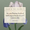 Are you Planting Seeds of Suffering or Seeds of Love? Listen to this
