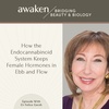 Rewiring our Hormonal Wellbeing for ADHD, Anxiety, Depression and Beyond (without medication)