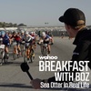 Sea Otter in Real Life