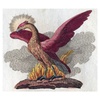 The Legendary Phoenix