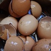 Recycle Your Eggshells to Help Nesting Birds