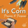 It's Corn: Process & Purpose
