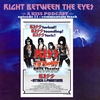 KISS Meets The Phantom of the Park