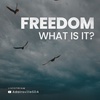 Freedom. What is it?