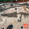 Rapidly Evolving Trout & Ancient Hyper-Apex Predators