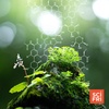 How Five Elements Define Life On Earth