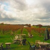 Episode 114: Long Island Wine, pt. 2