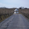 Episode 113: Long Island Wine