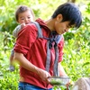 Creating a Bright Future in a Depopulated Green Tea Production Town