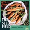 Through Eating, Sharing, and Studying Food We Can Build Sustainable Communities