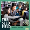 School Librarians Are Essential, So Why Are These Jobs Disappearing?