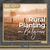 Rural Planting in Belgium