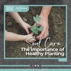 Soul Care: The Importance Of Healthy Planting