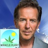 Learn From Best Selling Author Daniel John Carey How To Turn Your Past Trauma Into The Life Of Your Dreams