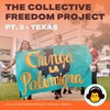 Ep. 73 - The Collective Freedom Project, Pt. 3: Texas & #ShutDownHutto ft. Rebecca Sanchez & David Johnson