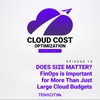 DOES SIZE MATTER? FinOps is Important for More Than Just Large Cloud Budgets