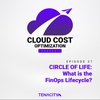 CIRCLE OF LIFE: What is the FinOps Lifecycle?