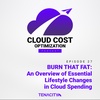 BURN THAT FAT: An Overview of Essential Lifestyle Changes in Cloud Spending