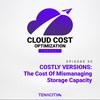 COSTLY VERSIONS: The Cost of Mismanaging Storage Capacity