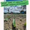 What Does it Mean to Support Mezcal Communities?