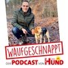 Ruhe für jagdlich motivierte Hunde - Florian Sernetz