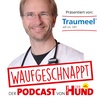Erste Hilfe am Hund - Dr. René Dörfelt LMU München