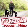 Abenteuer mit Hund - Jana Heymann