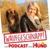 Demenz beim Hund - Anja Hanzel