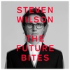 Steven Wilson's "THE FUTURE BITES"