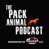 Pack Struggles