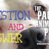 Questions and Answers, Episode 20