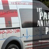 Dog Parks, Perilous or Precious