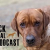 The Fox Red Labrador Retriever