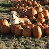 Episode 18: Pumpkins, Corn, Ghosts &amp; Ninjas!