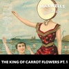 MK118 - "The King of Carrot Flowers Pt. 1" - Neutral Milk Hotel - Why is this song so good?