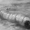 Season 4: Episode 27: Mongolian Death Worm