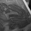 Season 4: Episode 32: Varginha UFO incident