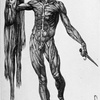 Season 4: Episode 50: Skinned Tom