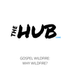 Gospel Wildfire: Why Wildfire?