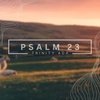 Psalm 23 - Week 11 // 8.6.2023