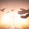 The Miracle of Justification